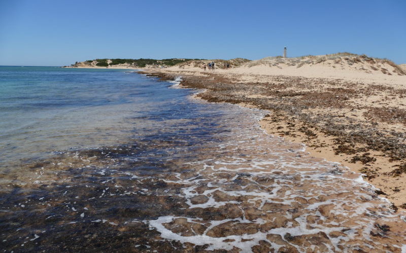 litoral marítimo en Andalucía