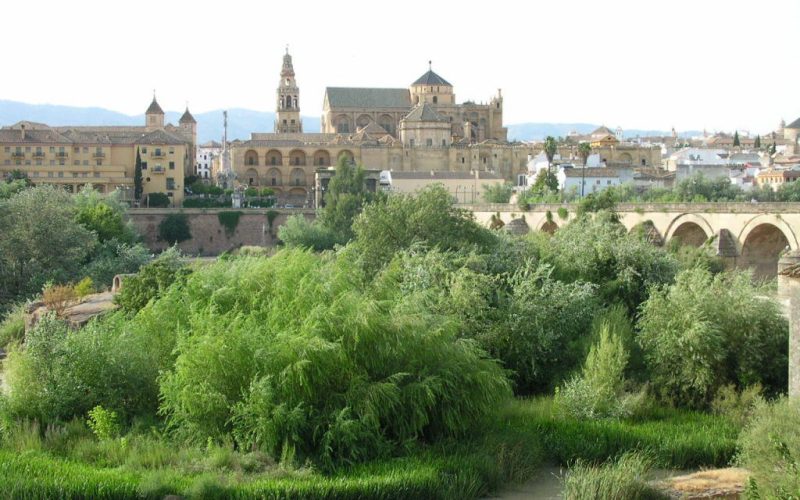 Mosquée Cathédrale de Cordoue, Pont Romain et Sotos de la Albolafia
