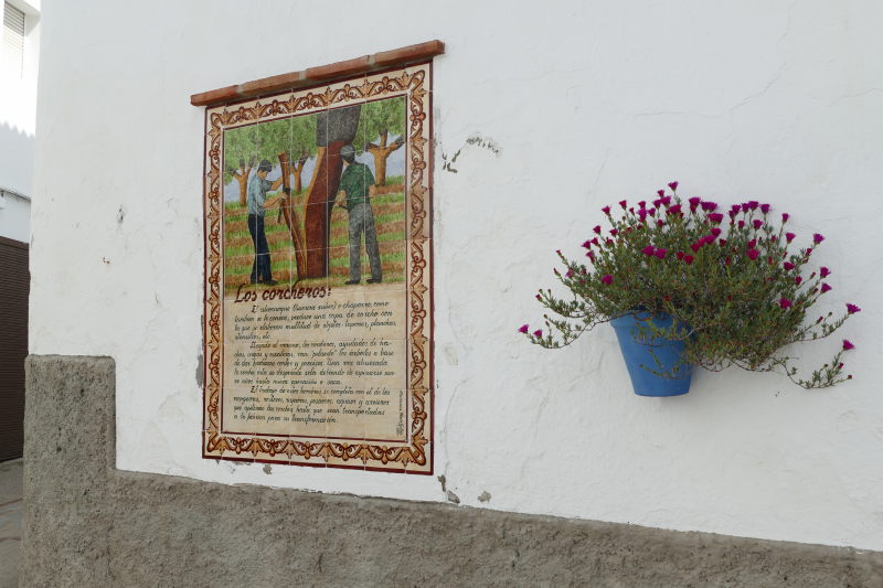 Céramique représentant l'exploitation du liège. Los Corcheros (Benarrabá)