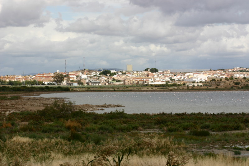 Laguna Fuente de Piedra, Malaga, Zone humide, lagune