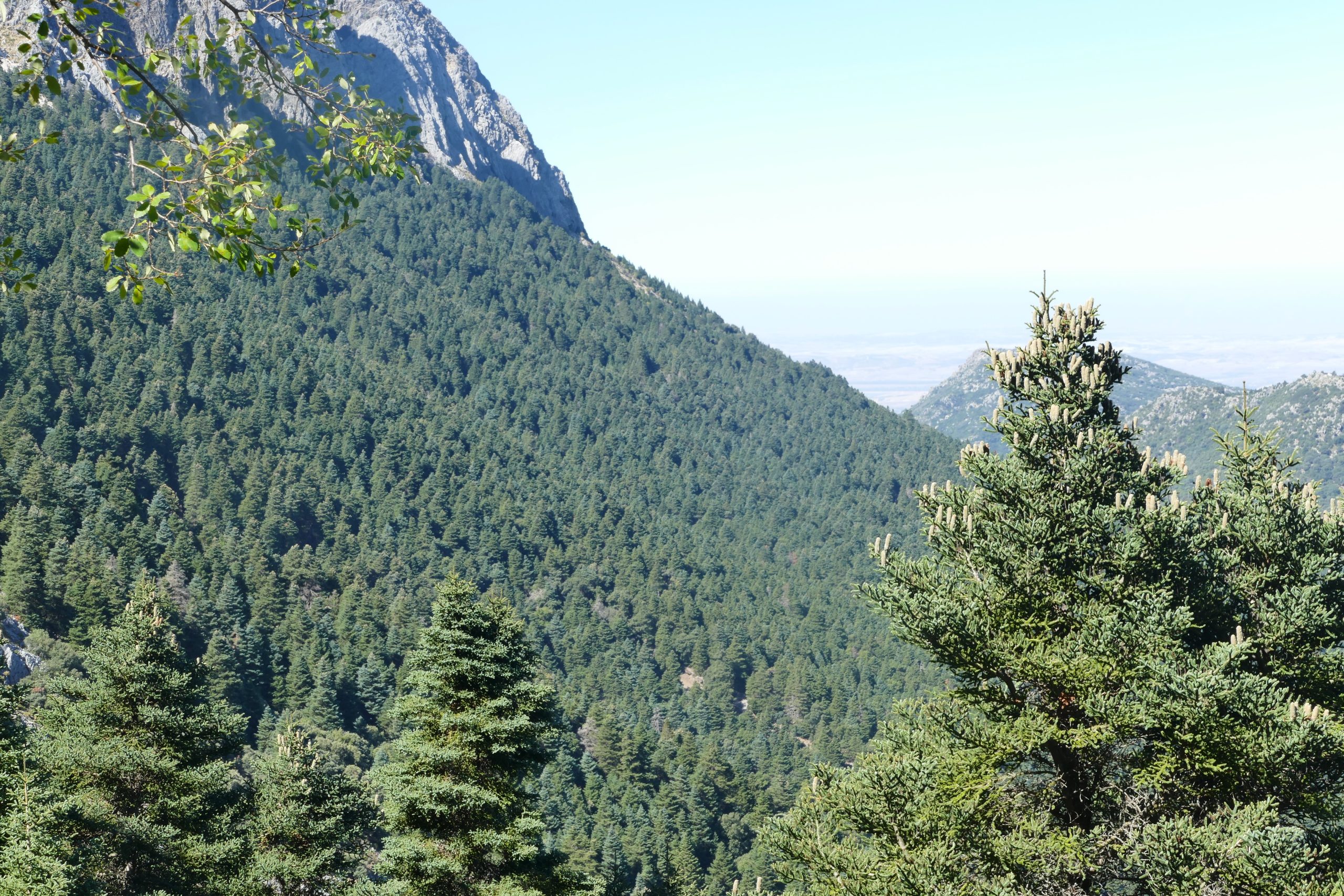 Sierra del pino protected trail