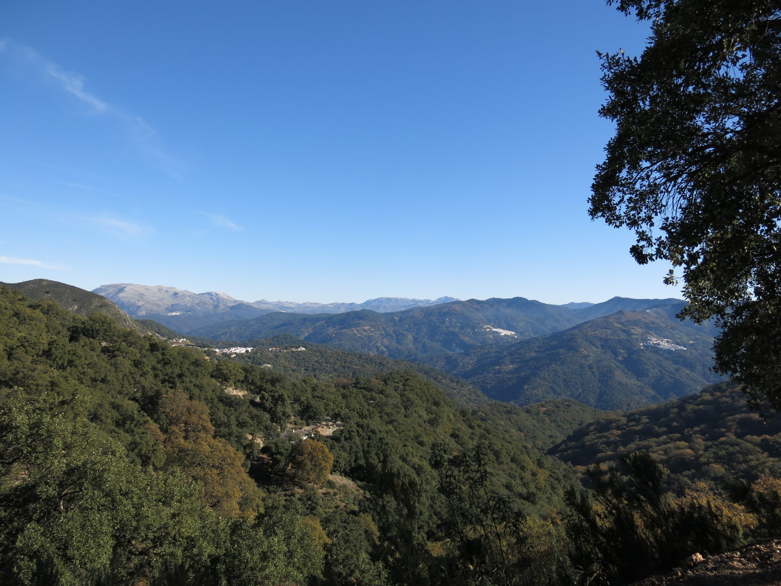 Chaque excursion offre une succession de paysages variés: Benarrabá au centre et Alpendeire en arrière plan; Jubrique et Genalguacil à droite.
