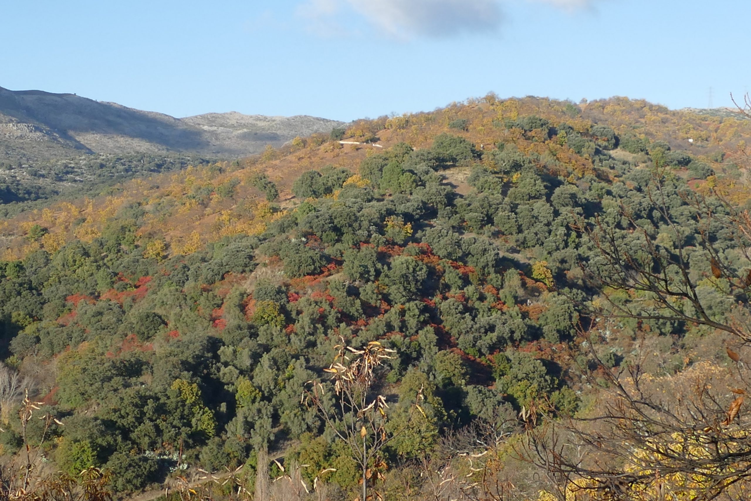 Landscapes of Harraval, the High Genal, in the Serrania de Ronda.