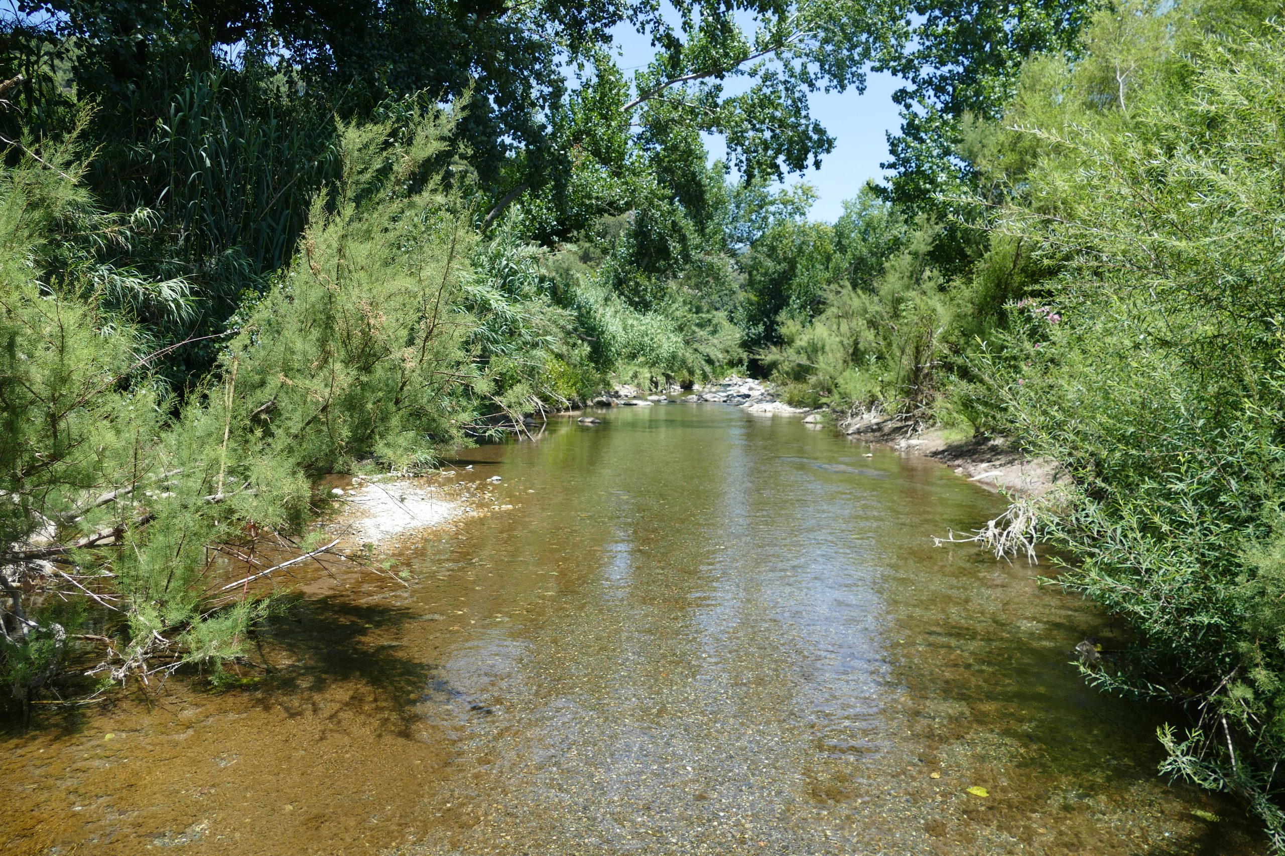 Río Genal, Benalauría