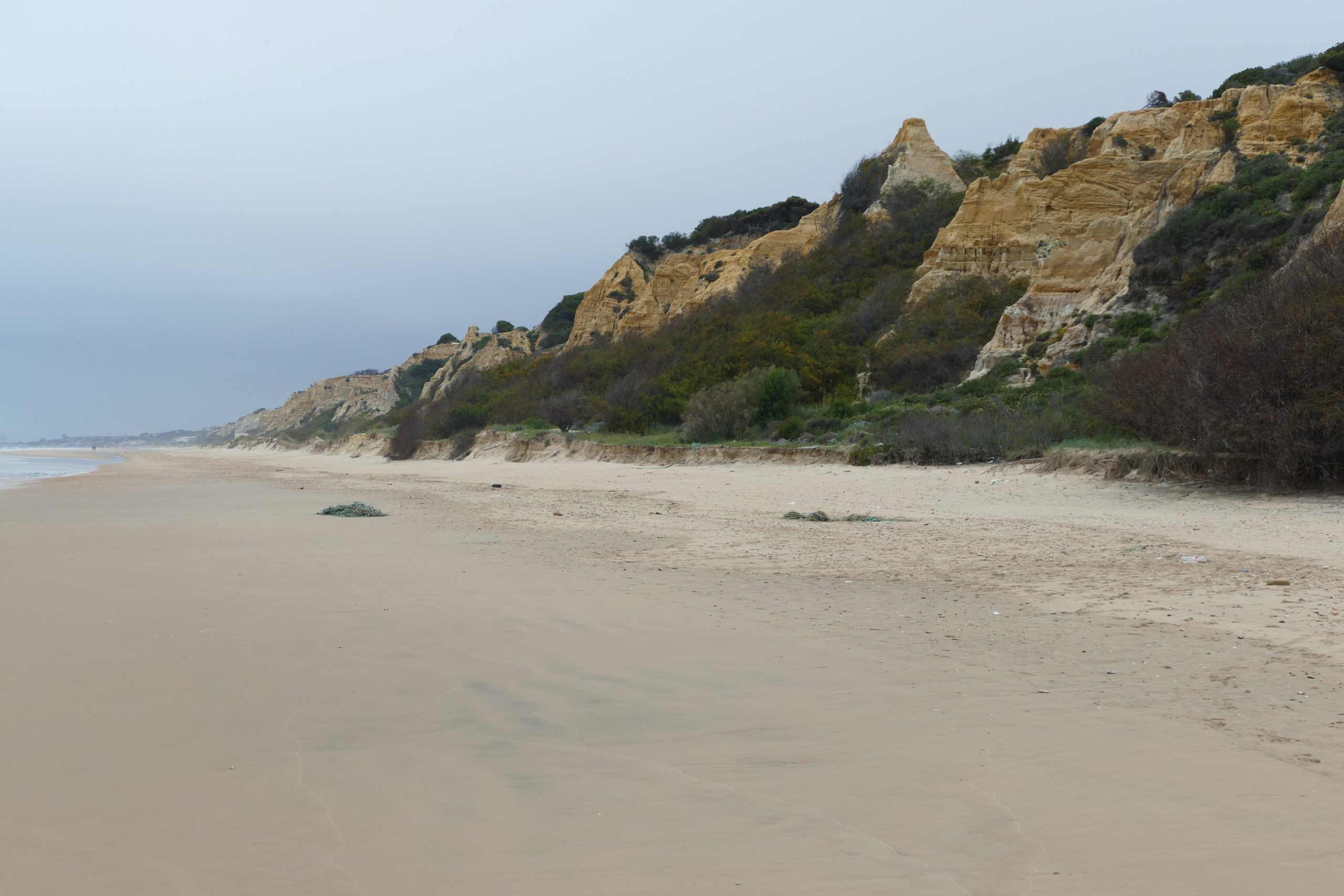 Fossil dune El Asperillo