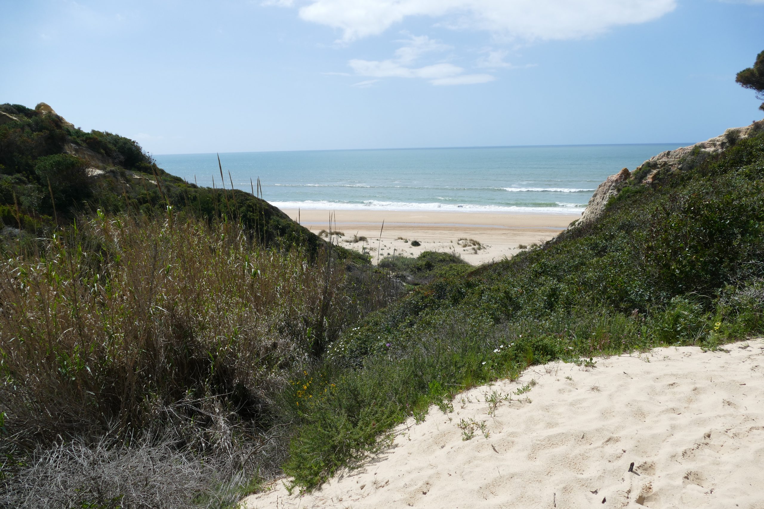 Doñana occidentale: littoral et dunes dans les terres