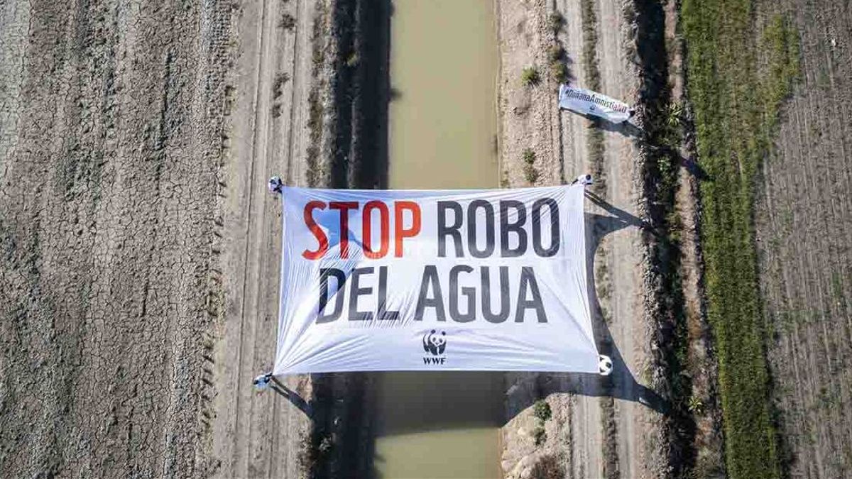 Campagne internationale du WWF Doñana
