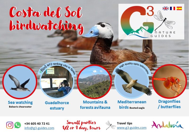 Tour de avistamiento de aves acuáticas en Malaga, Costa del SOl