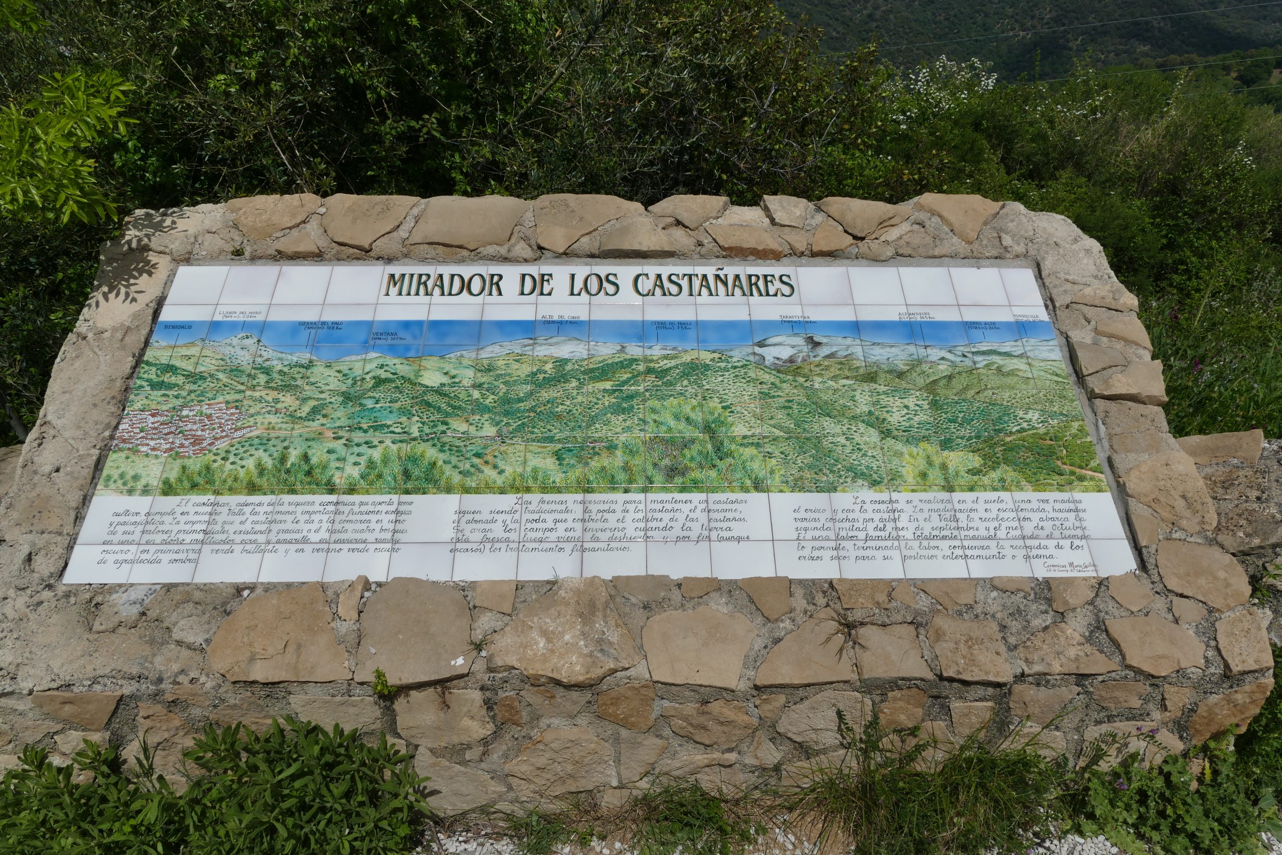 Mirador de Los Castañares en el Valle del Genal (Benalauría).