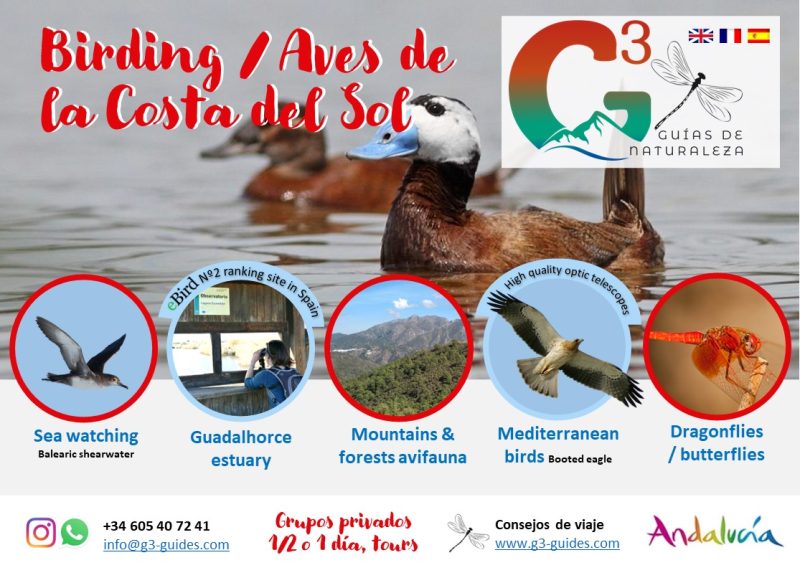 Tour Guadalhorce Costa del Sol