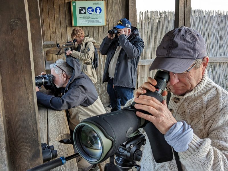 Un grupo de birdwatchers en un observatorio de aves. Andalucía.