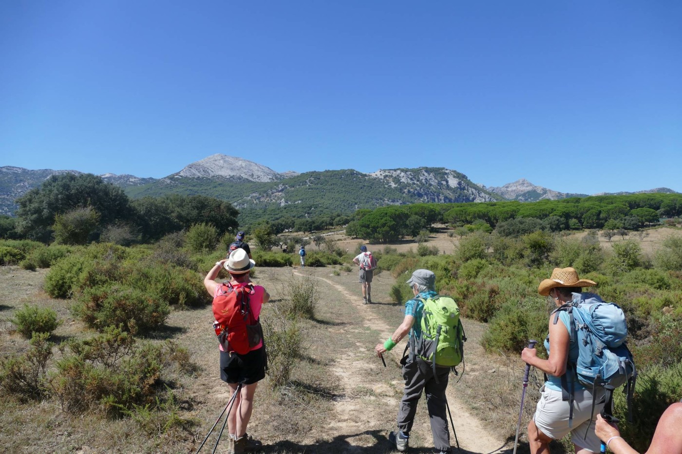 Senderismo en la sierra de Grazalema