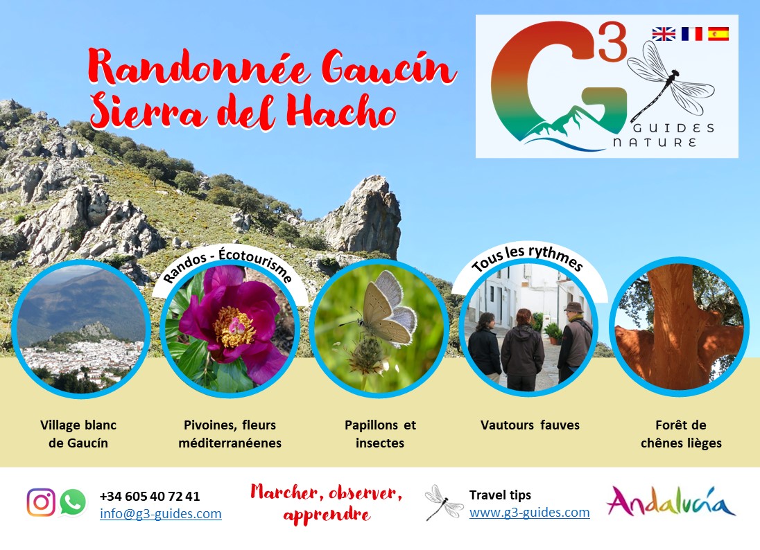 Andalousie randonnées séniors et familles : Sierra del Hacho de Gaucín 