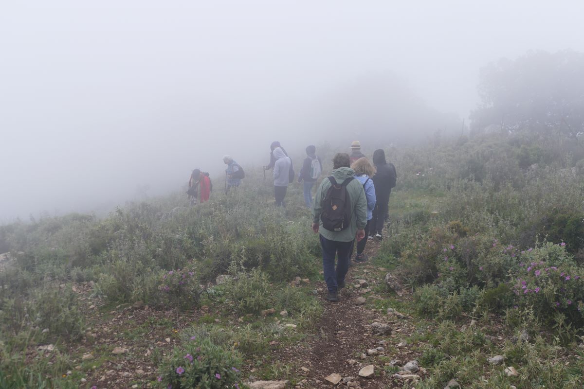 Walking in the fog at Hacho de Gaucín