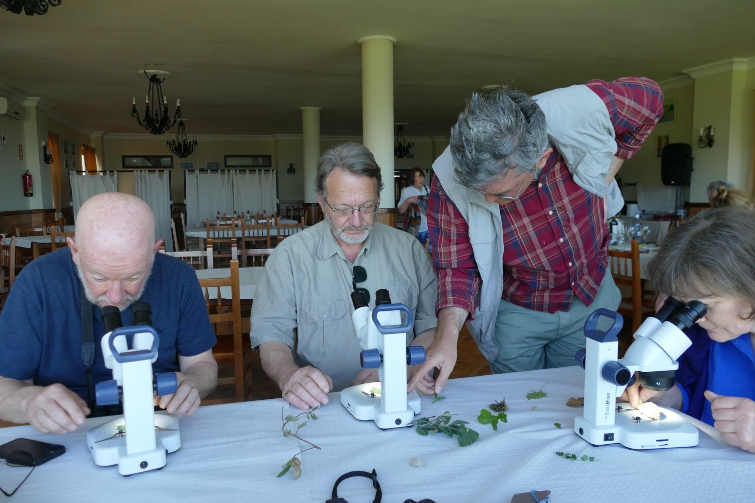 Looking at microscopes