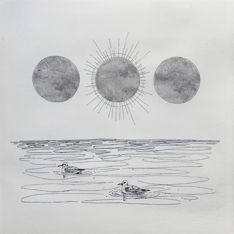Aves marinas sobre  el mar junto a tres eclipses de sol