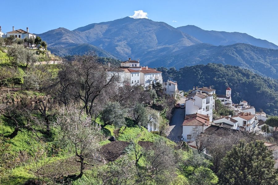 Viaje en Andalucía: cultura y naturaleza