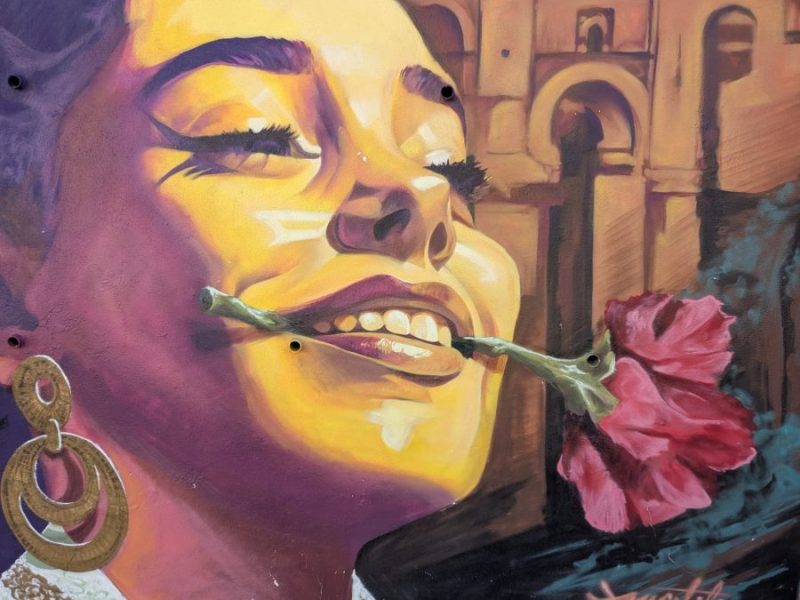 Imagen tópica andaluza en las calles de Ronda.