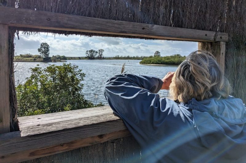 Birdwatching en Doñana... la quintaesencia de la ornitología en Andalucía.