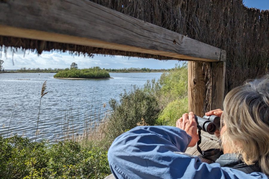 Birdwatching en Andalucía