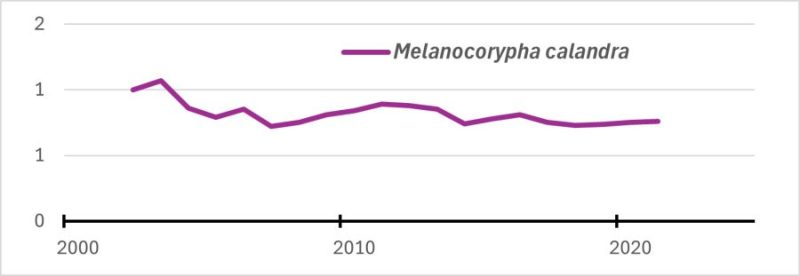 Evolución de Calandria común en España
