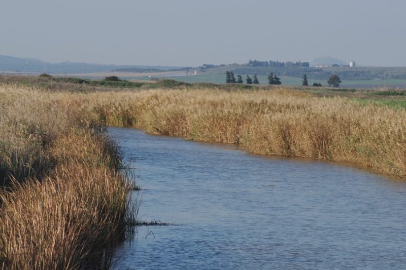 Canal central en La Janda (Cádiz).