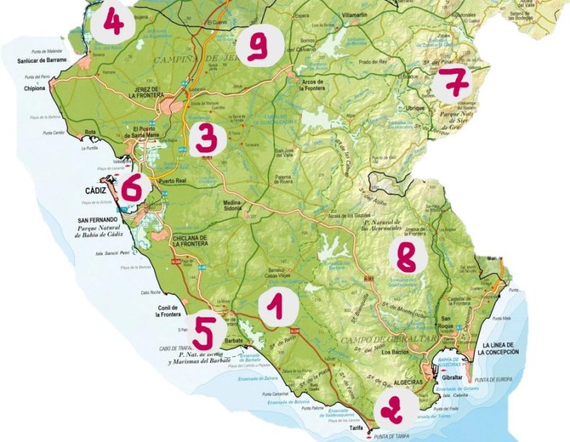 Mapa de los principales hotspots ornitológicos en la provincia de Cádiz.