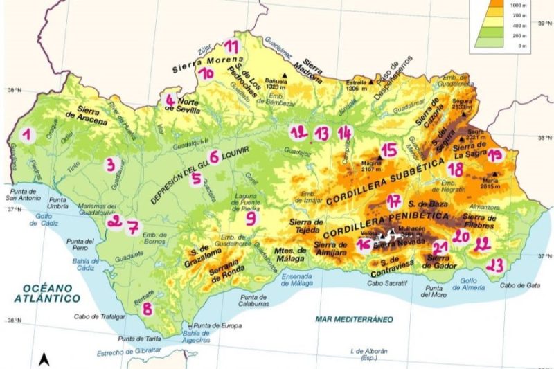 Mapa de las Zonas Importantes para las Aves Esteparias en Andalucía.