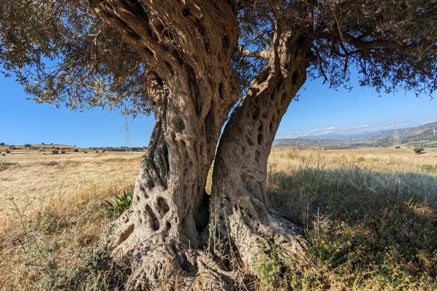 EMBAL 2023, Monitoreo Europeo de la Biodiversidad en Paisajes Agrícolas