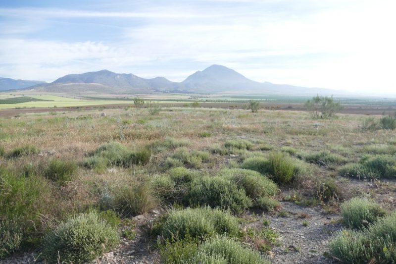 Altiplano de Granada.