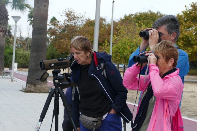 Grupo de observadores de aves en Palmones, un humedal costero junto a Algeciras.