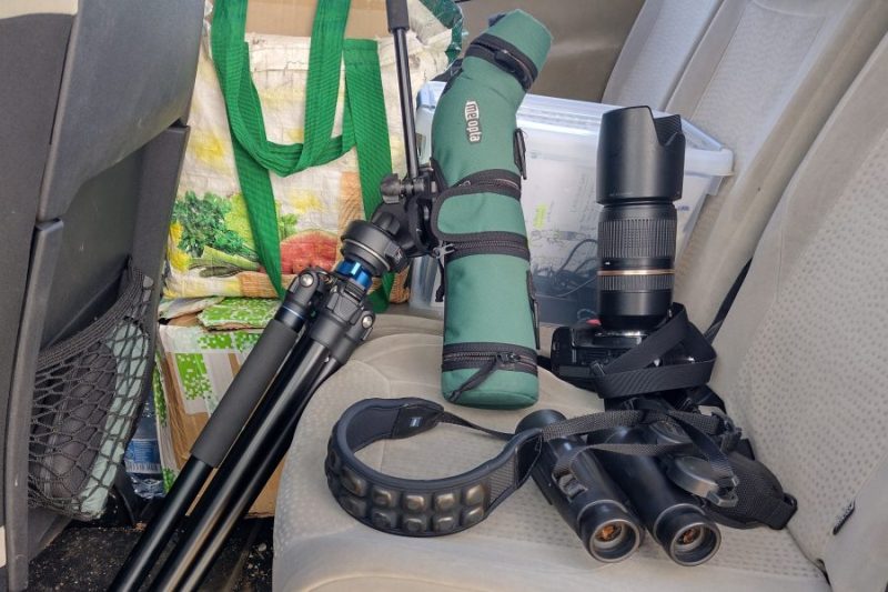 Equipo básico para el birdwatching.