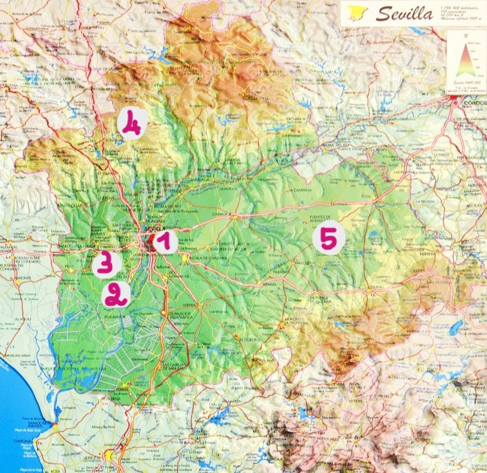 Mapa de los puntos calientes ornitológicos más importantes en la provincia de Sevilla.