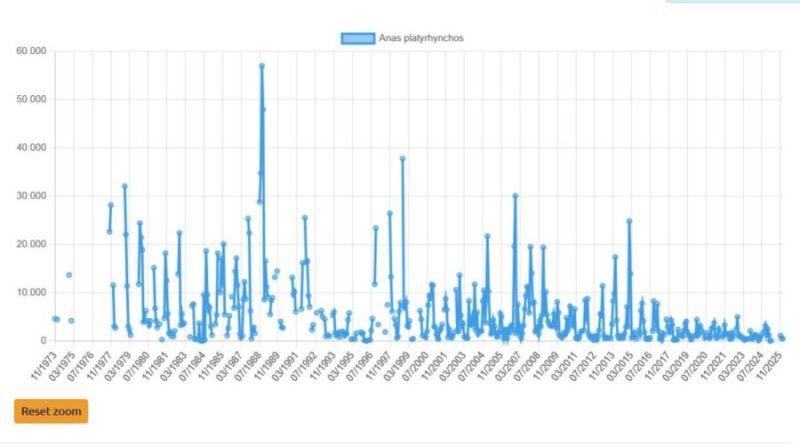 Evolución de la población de ánade azulón (Anas platyrhynchos) en Doñana desde 1974 en los censos aéreos en Doñana.