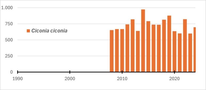 Censo de cigüeña blanca en Andalucía (Fuente: Junta de Andalucía).