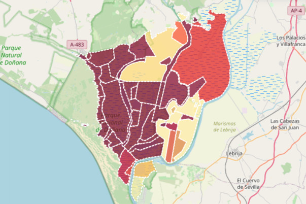 Zonas de los censos aéreos en Doñana.